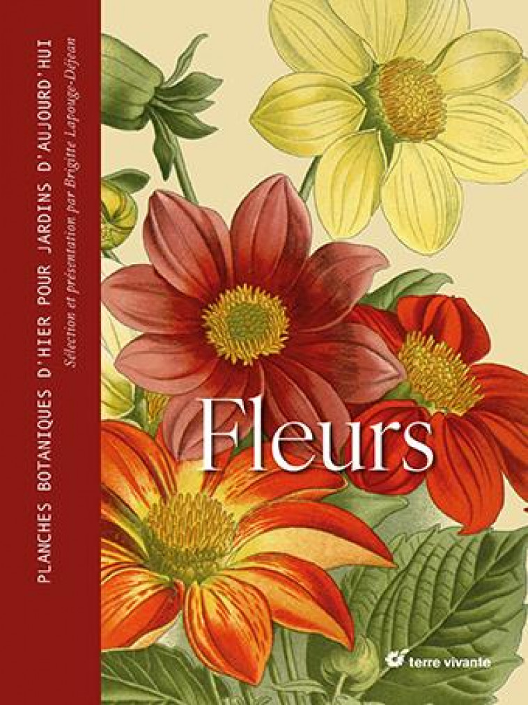 FLEURS - PLANCHES BOTANIQUES D-HIER POUR JARDINS D-AUJOURD-HUI - LAPOUGE-DEJEAN B. - TERRE VIVANTE