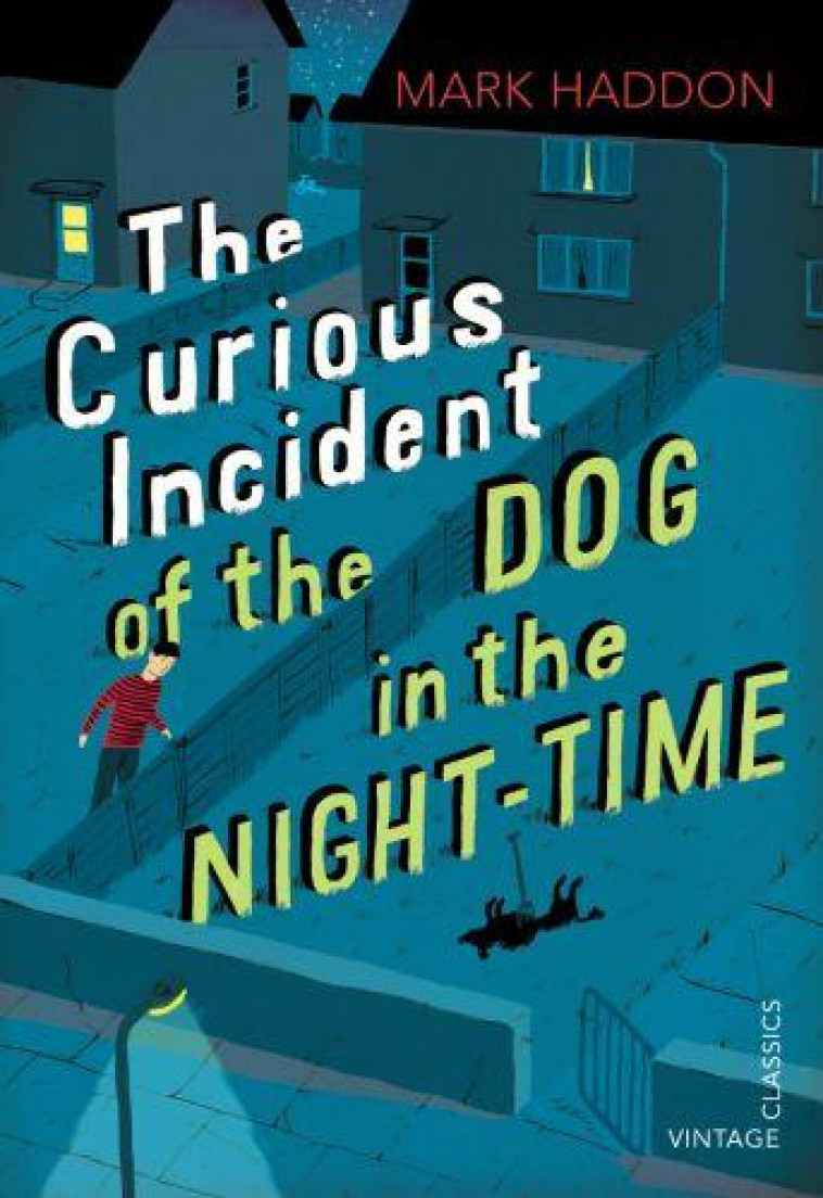 THE CURIOUS INCIDENT OF THE DOG IN THE NIGHT TIME - HADDON, MARK - VINTAGEBOOK