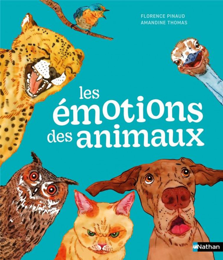 LES EMOTIONS DES ANIMAUX - PINAUD/THOMAS - CLE INTERNAT