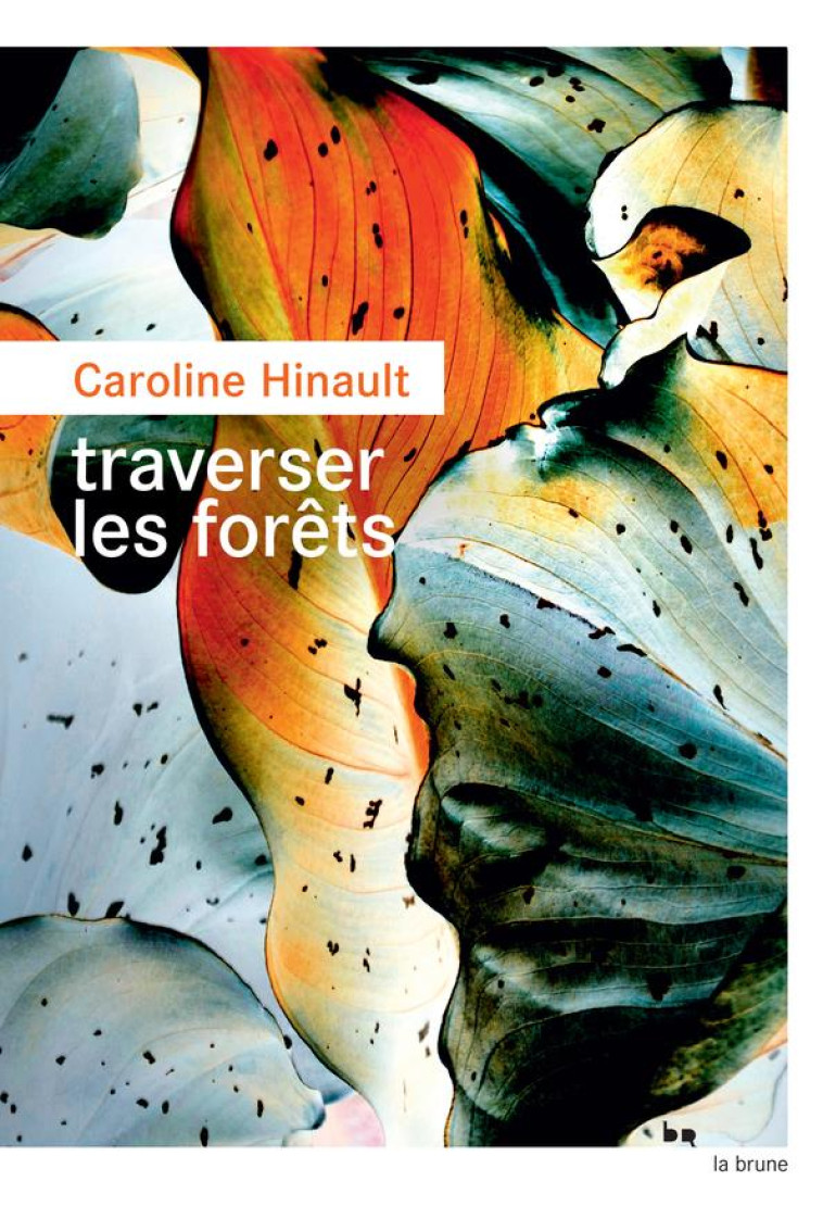 TRAVERSER LES FORETS - HINAULT  CAROLINE - ROUERGUE