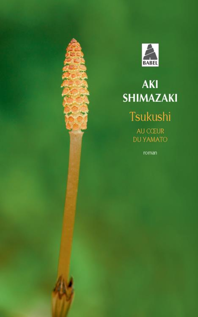 AU COEUR DU YAMATO TOME 4 : TSUKUSHI - SHIMAZAKI AKI - Actes Sud