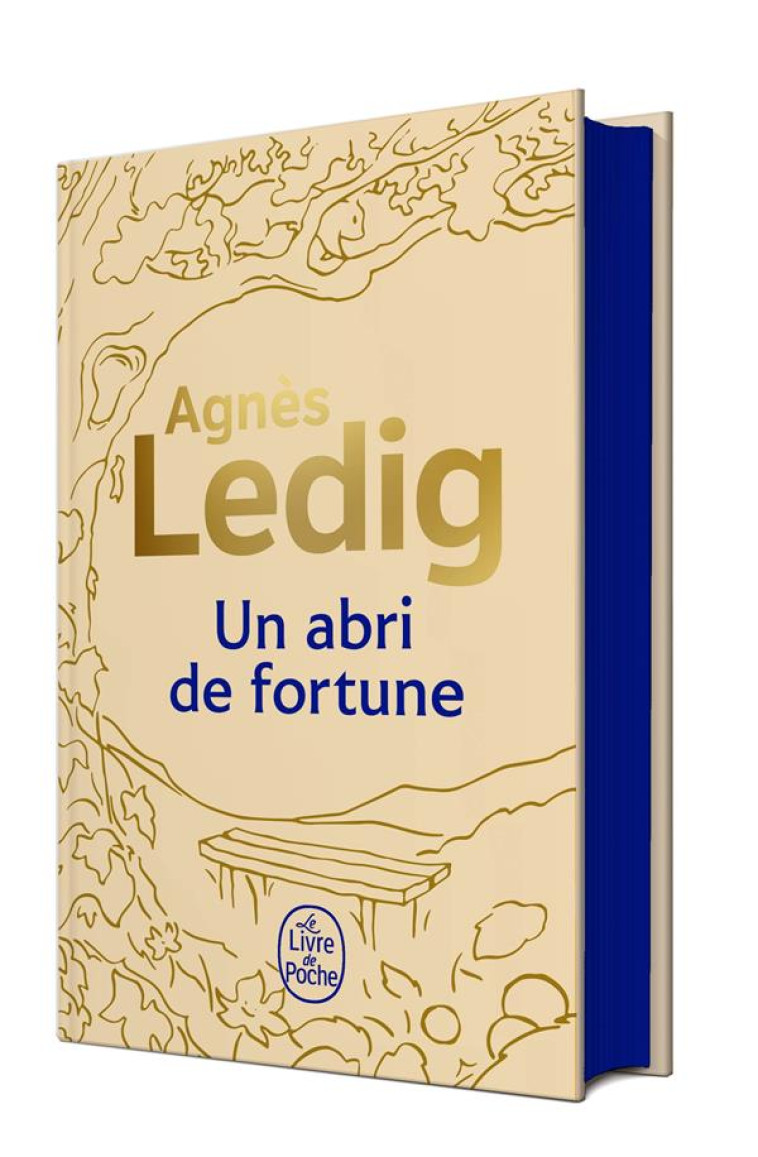 UN ABRI DE FORTUNE - LEDIG AGNES - LGF/Livre de Poche
